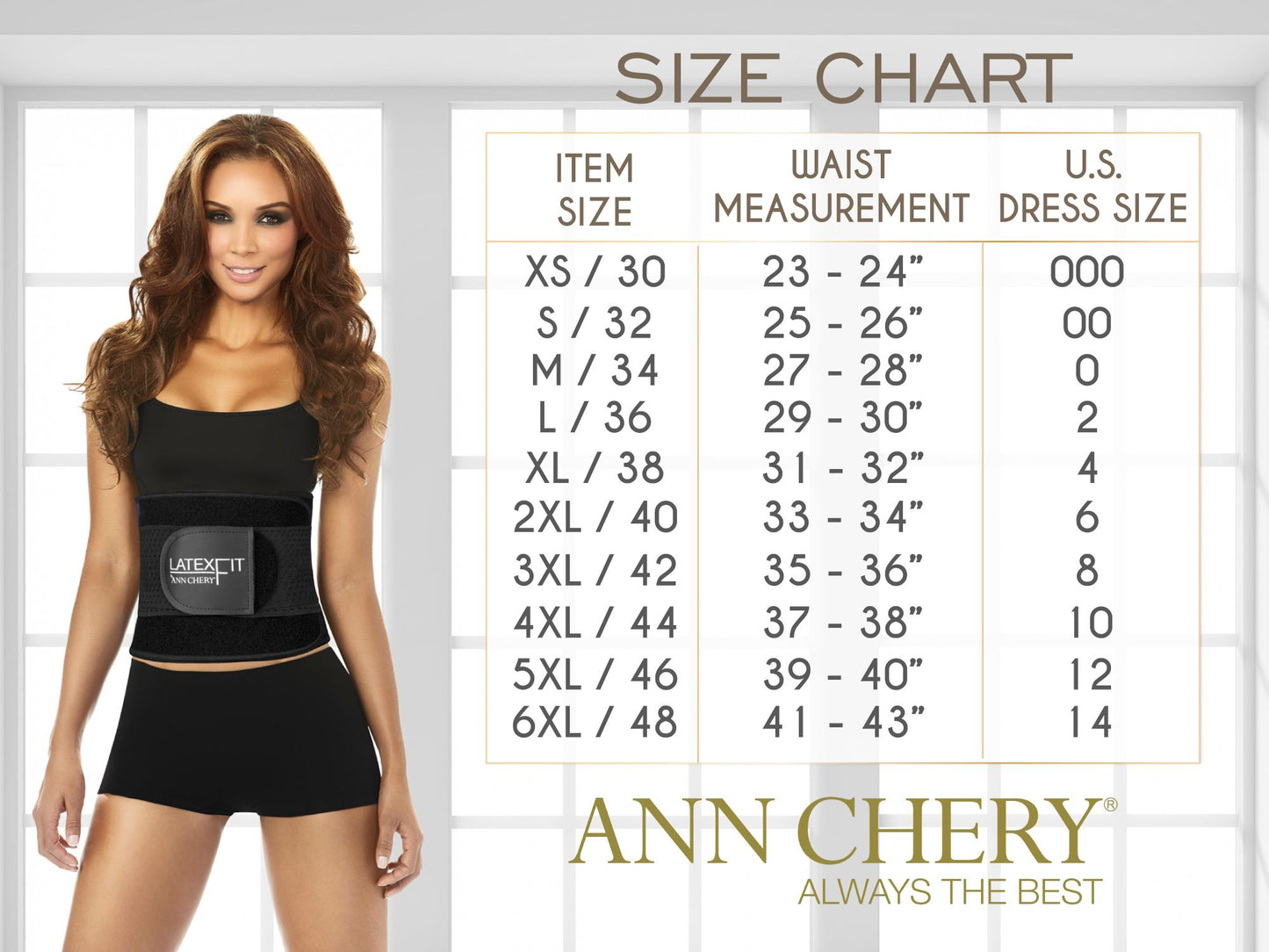 Ann Chery 1024B Powernet Girdle with Zipper