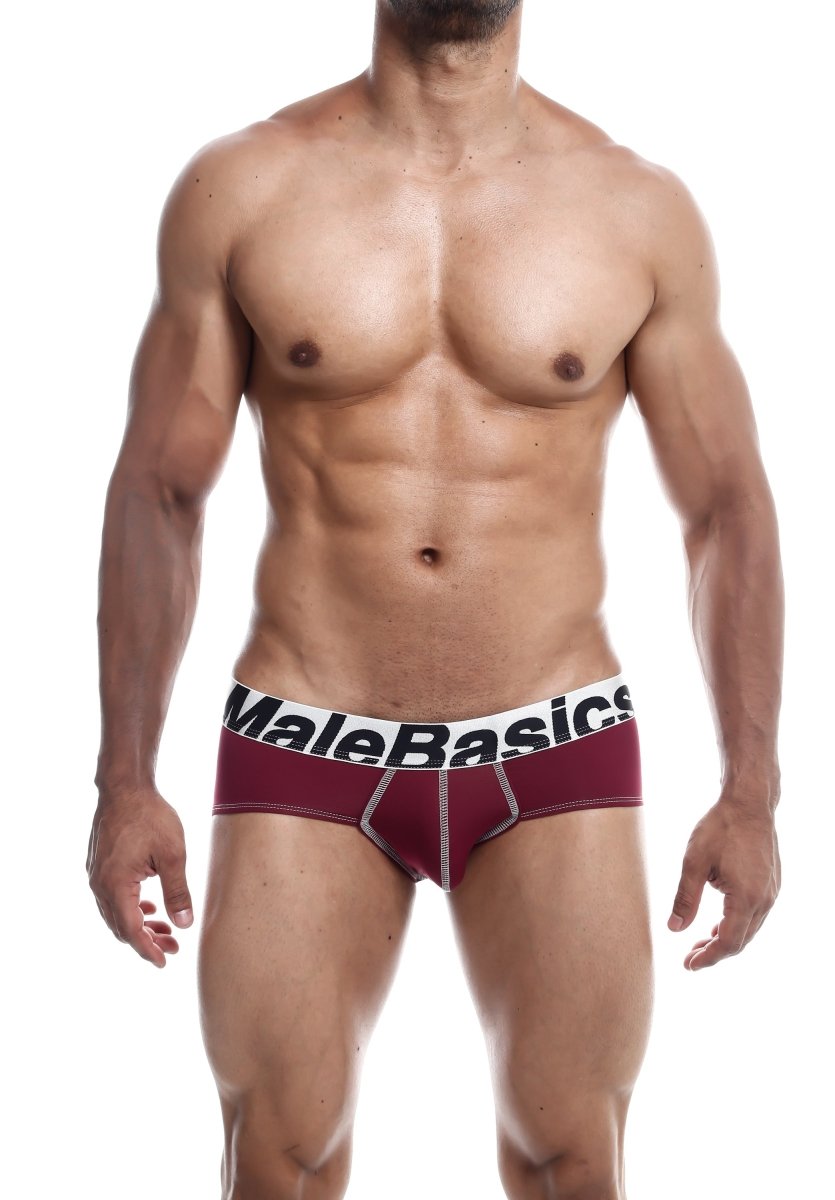 Men's stretch microfiber brief underwear in Burgundy - view 16
